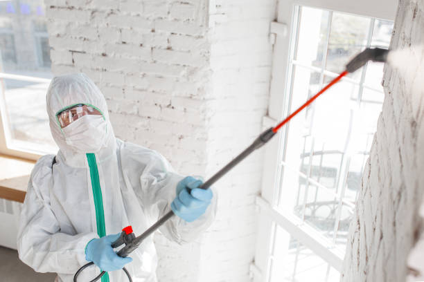 Best Water Damage & Mold Remediation  in Edgewater, NJ