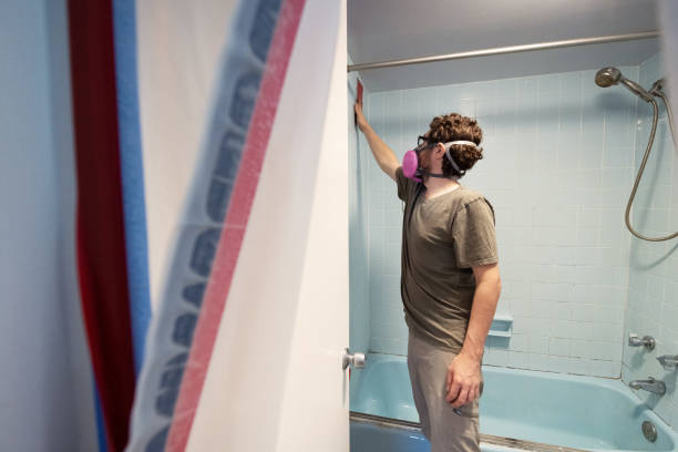 Best Environmental Consulting for Mold Prevention  in Edgewater, NJ