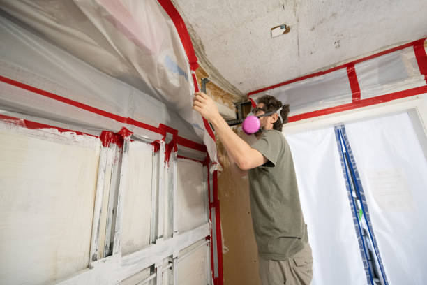 Best Mold Prevention Services  in Edgewater, NJ