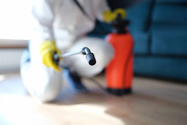 Best Post-Construction Mold Inspection  in Edgewater, NJ