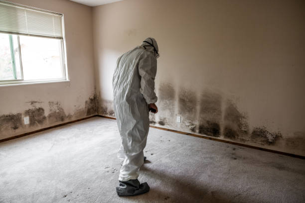 Best Forensic Mold Investigation  in Edgewater, NJ